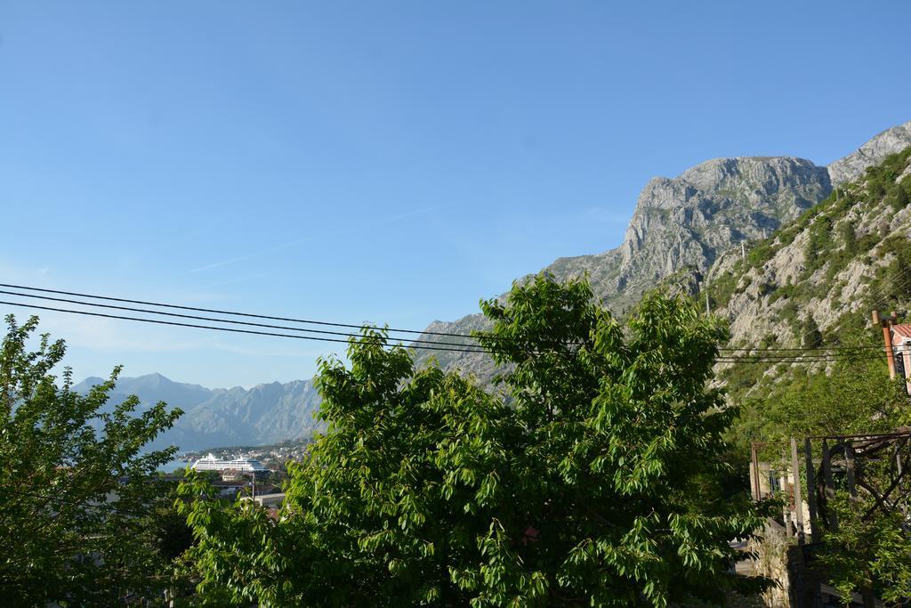 Apartment Milica Kotor Zewnętrze zdjęcie